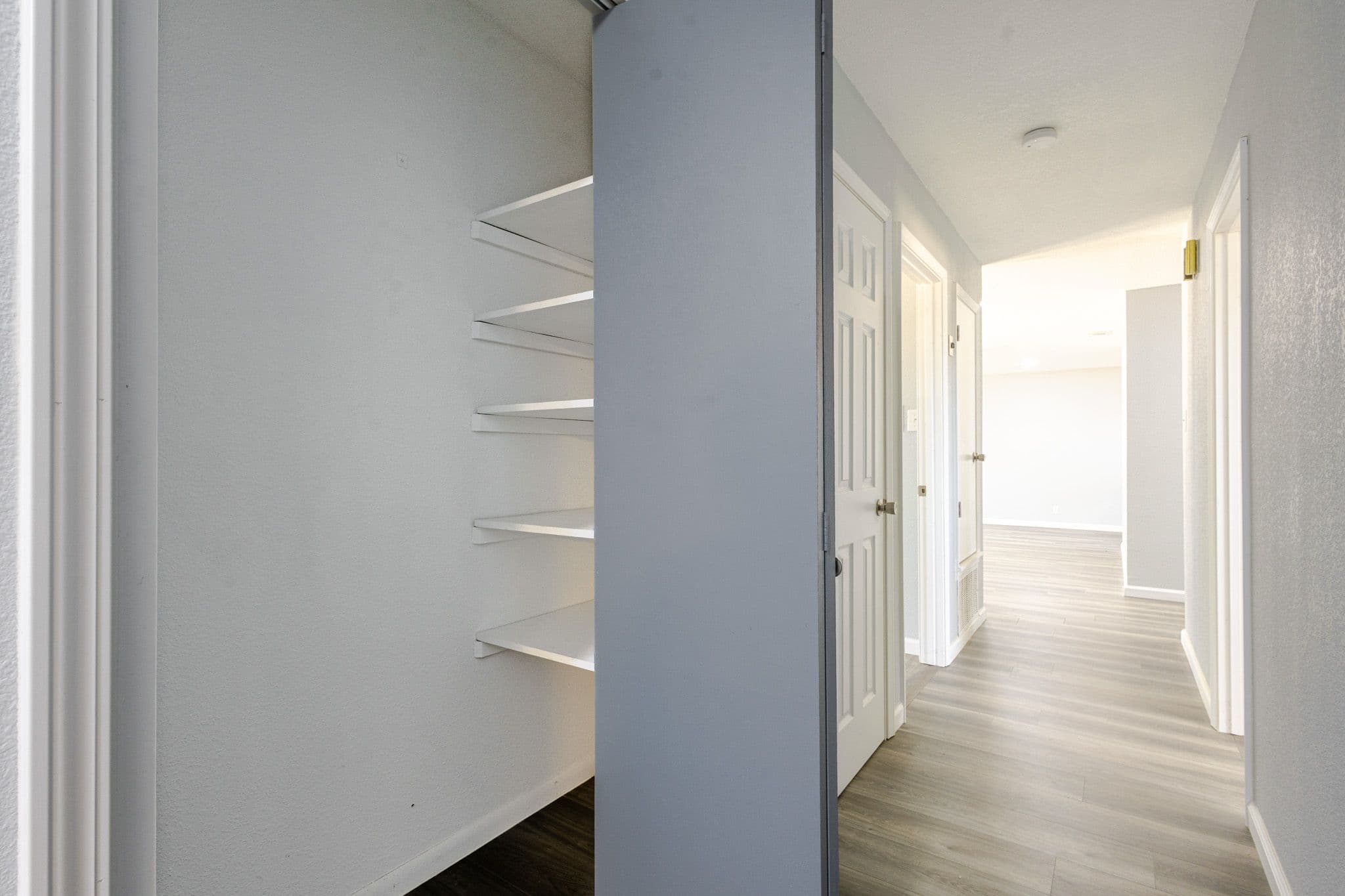 Interior shot of hallway showcasing the hallway closet